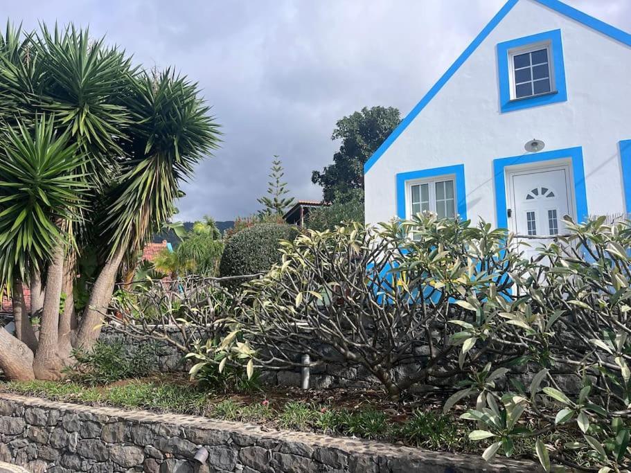 Lucky Lemons Boutique Houses Madeira 1 カリェタ エクステリア 写真